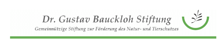 Logo der Dr. Gustav Bauckloh Stiftung
